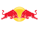 RedBull X2010 S1 Badge